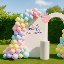 Load image into Gallery viewer, A Little Butterfly Is On Her Way Vinyl Decal – Baby Shower Backdrop Sign