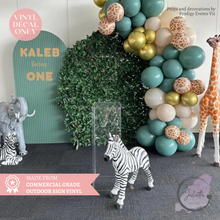 Load image into Gallery viewer, Custom First Birthday Sign Decal - Turns One